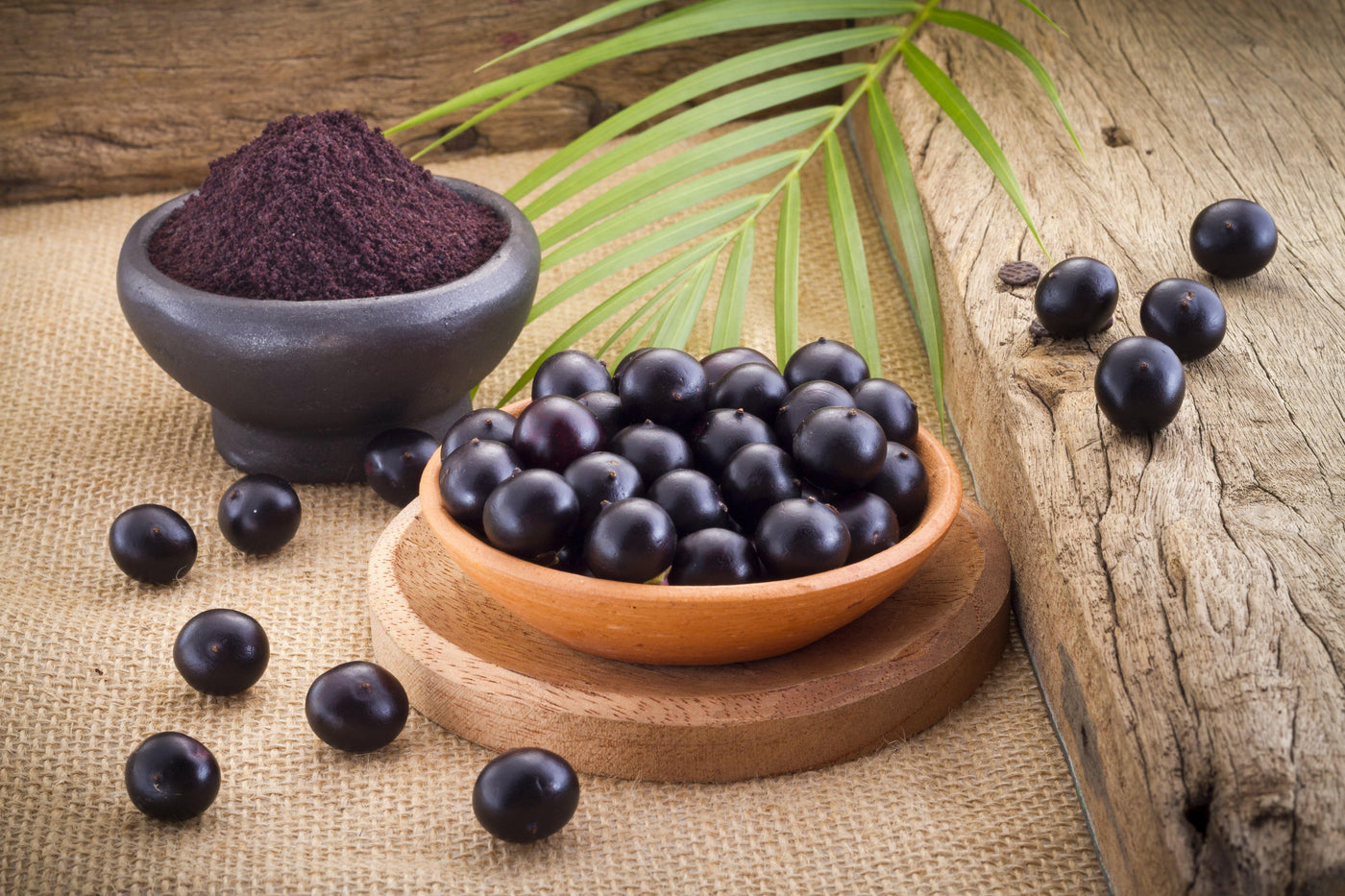 The Exotic Multivitamin Açai Benefits to Hair Smoothing Treatments - amazonplex.com.br